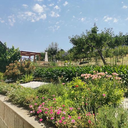 Felgar Quinta Do Retiroゲストハウス エクステリア 写真
