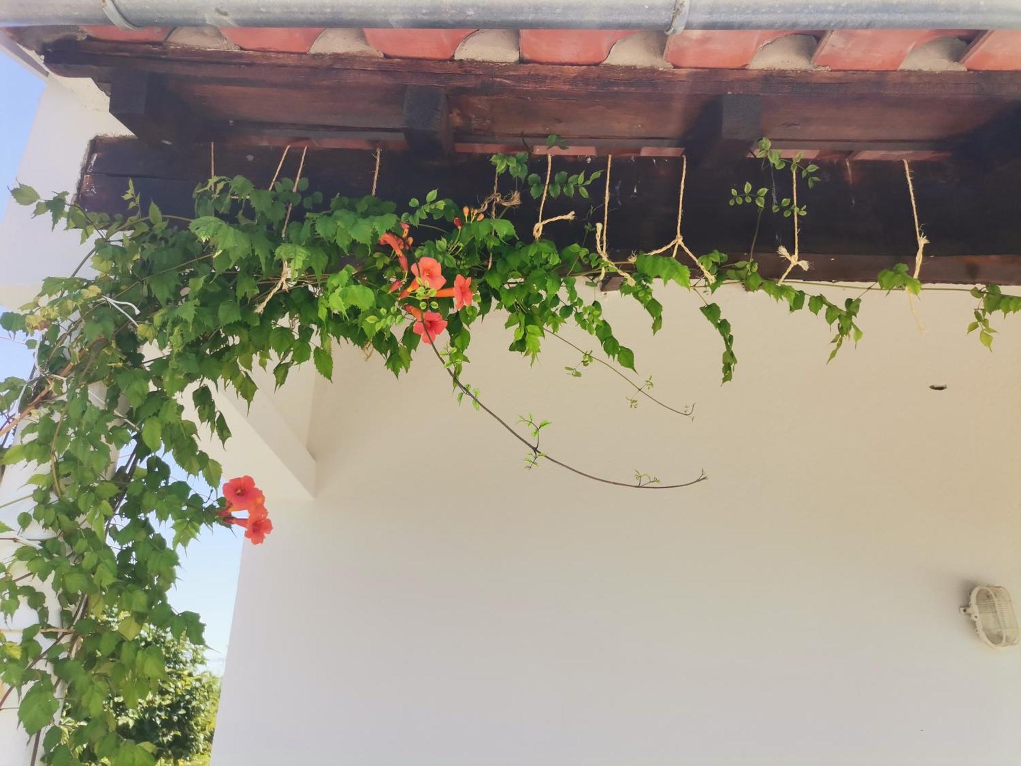 Felgar Quinta Do Retiroゲストハウス エクステリア 写真
